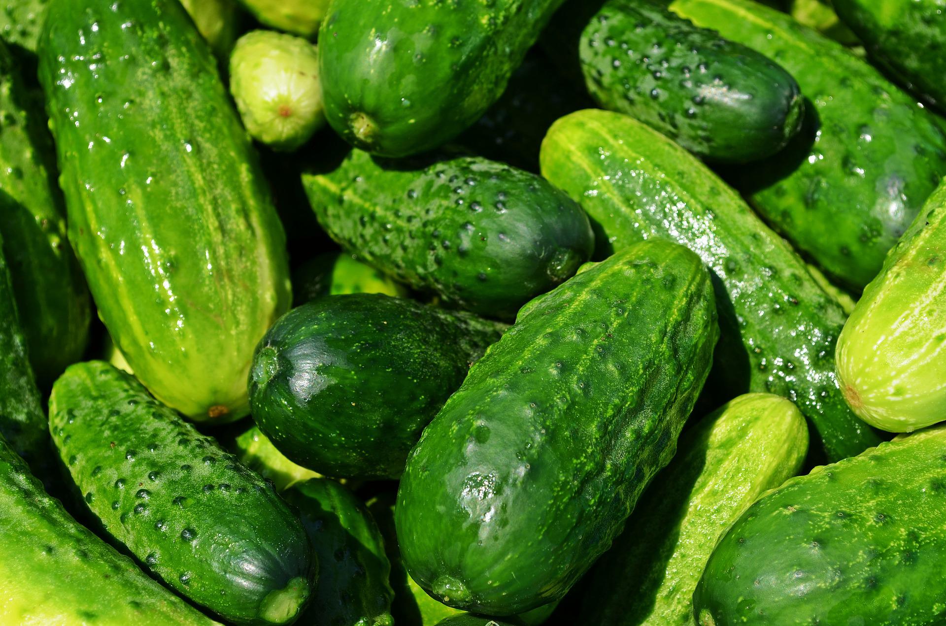 cucumbers-gd2e9ce530 1920